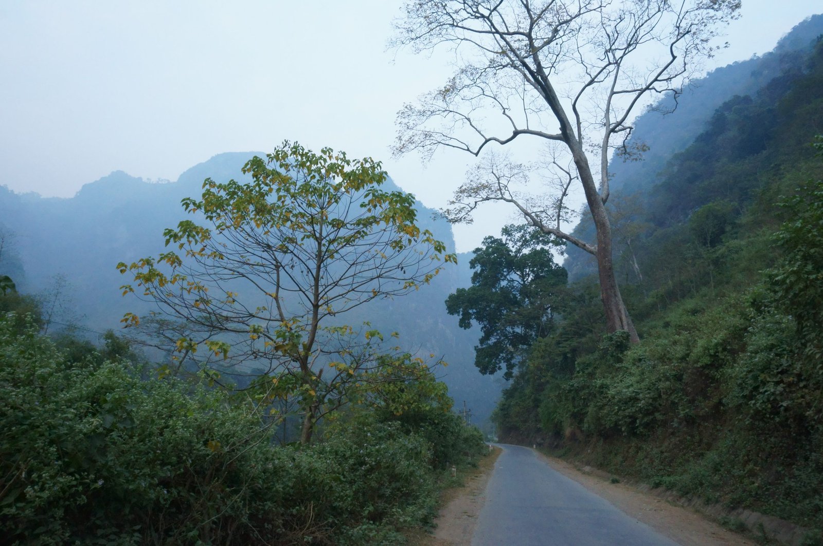 10-Day Ha Giang Loop & Hoang Su Phi Cycling Adventure